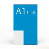 a1 small