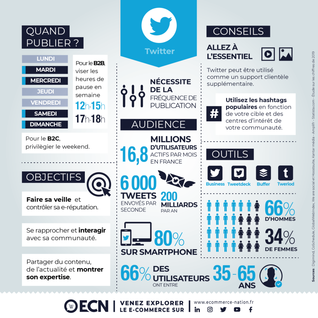 Infographie Réseaux Sociaux